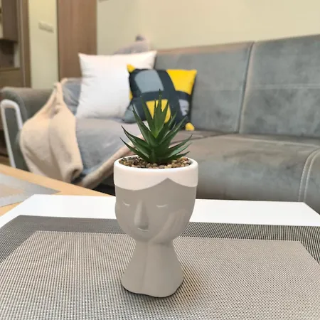 Snow White - Luxury With Free Bottle Of Wine * バンスコ